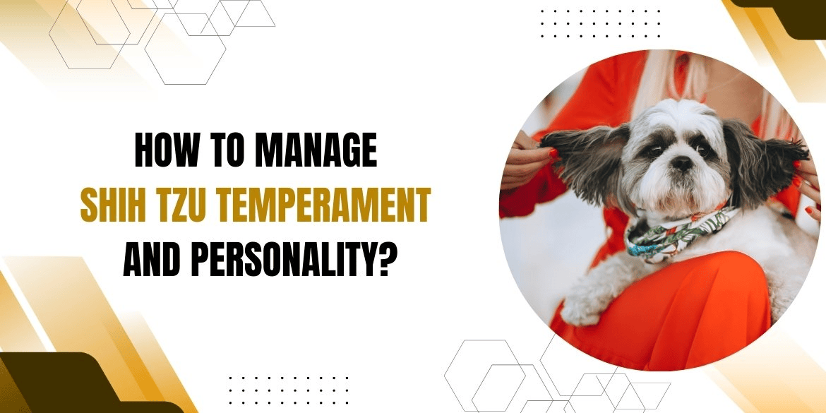 Shih Tzu Temperament