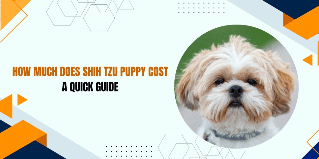 shih tzu puppy cost